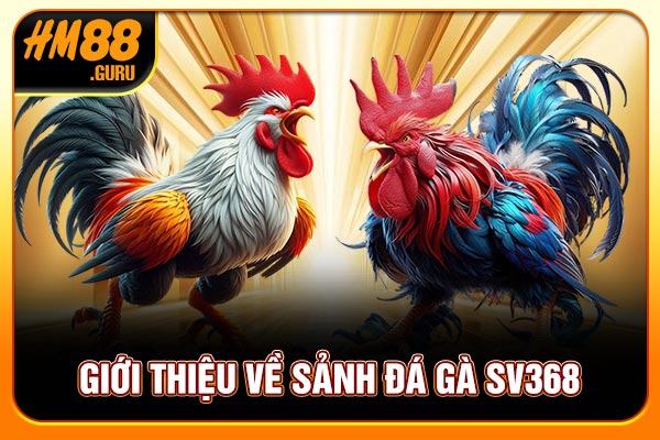 Giới thiệu về sảnh đá gà SV128