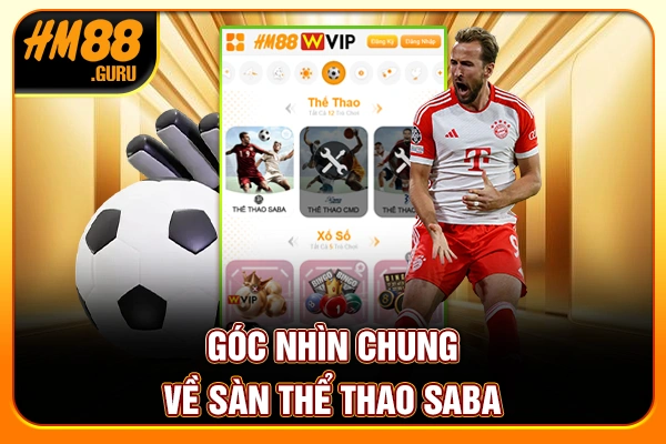 Góc nhìn chung về sàn thể thao Saba