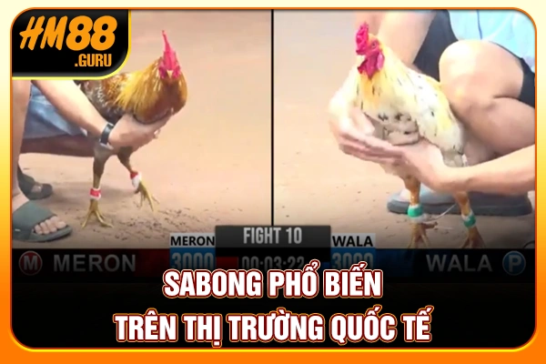 Sabong phổ biến trên thị trường quốc tế