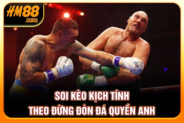 Soi kèo kịch tính theo đừng đòn đá Quyền anh