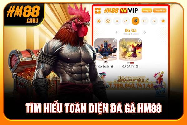 Tìm hiểu toàn diện đá gà HM88